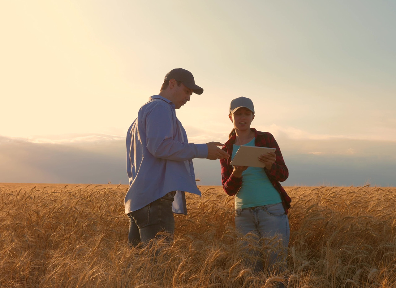 famers in a field