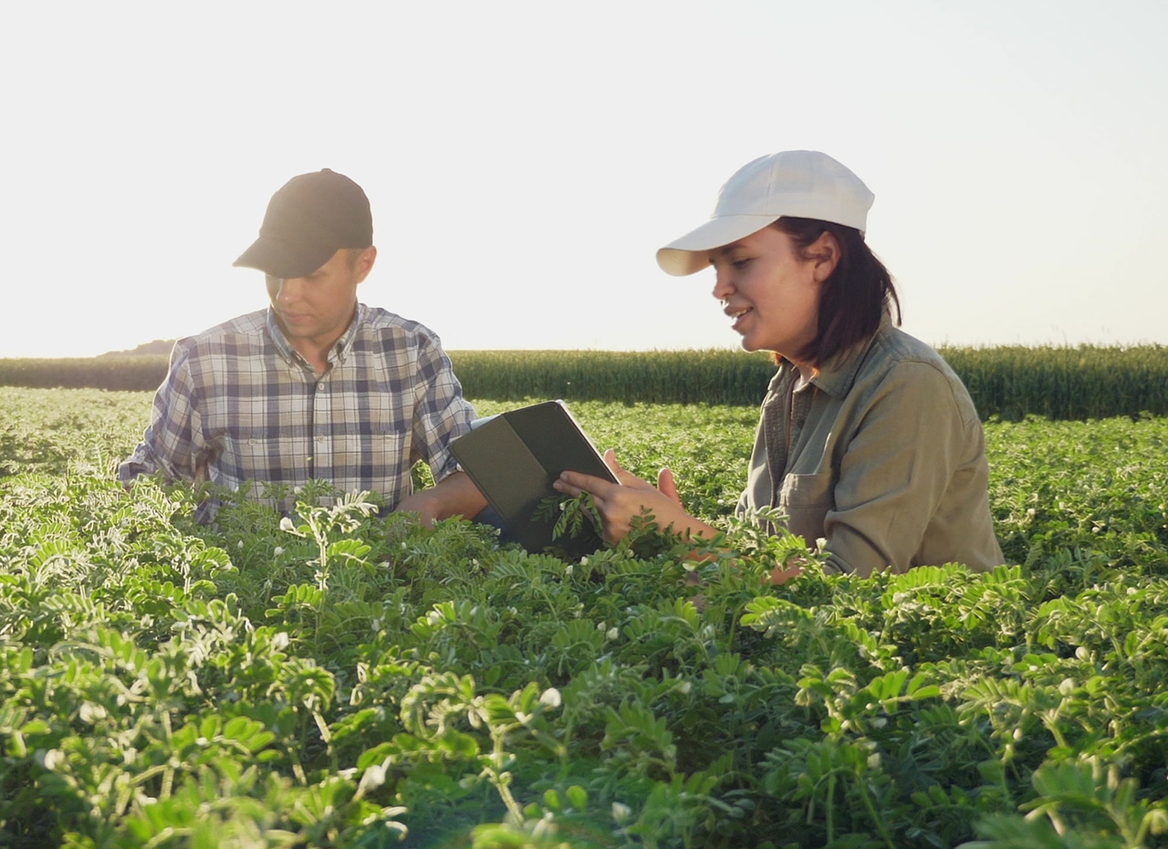 man and women standing in field