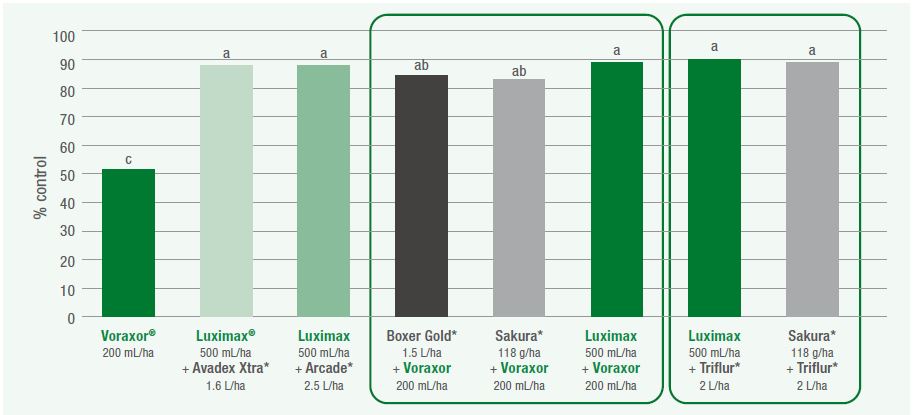 Annual ryegrass control graph