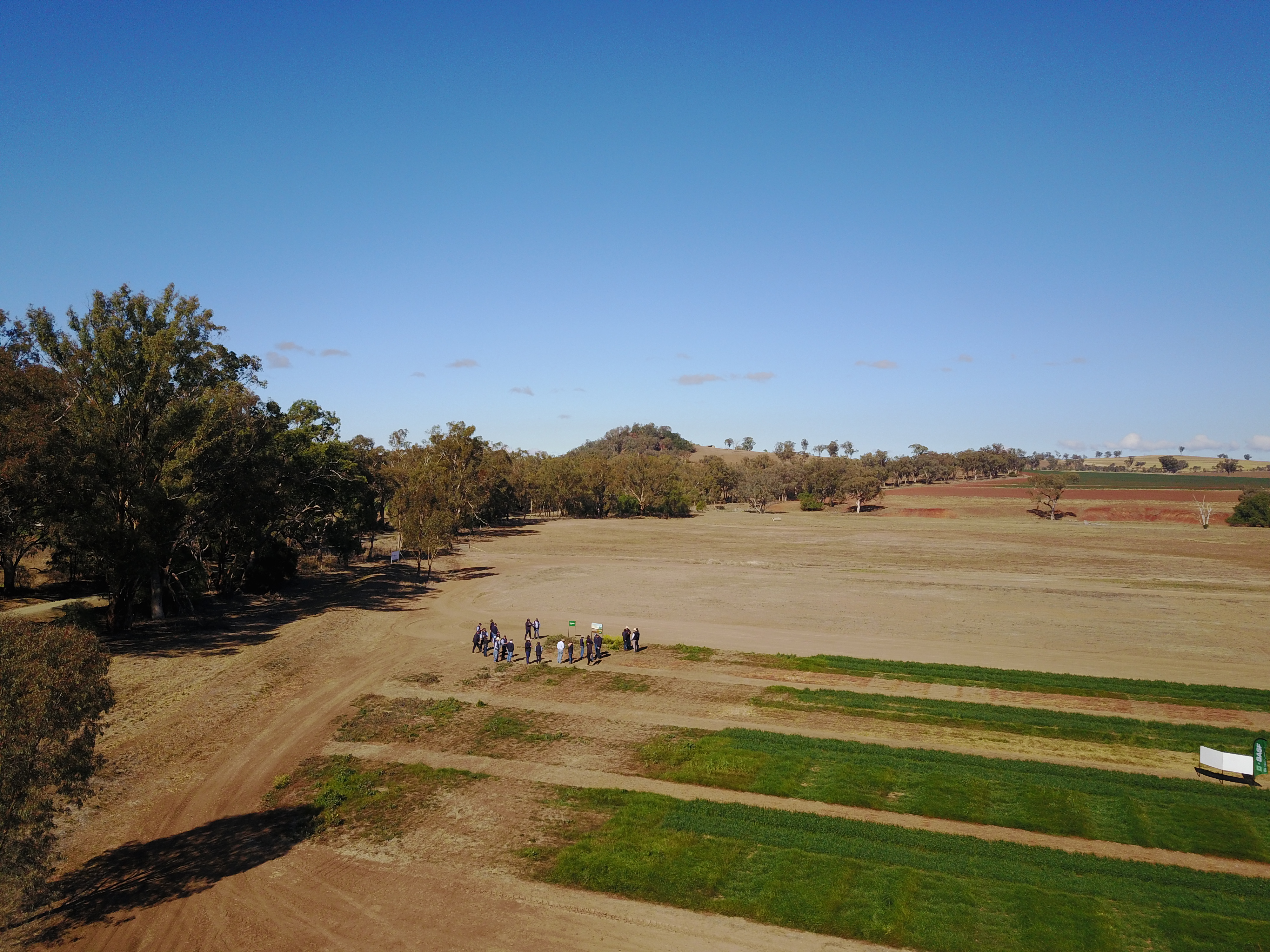 Tamworth field walk rego