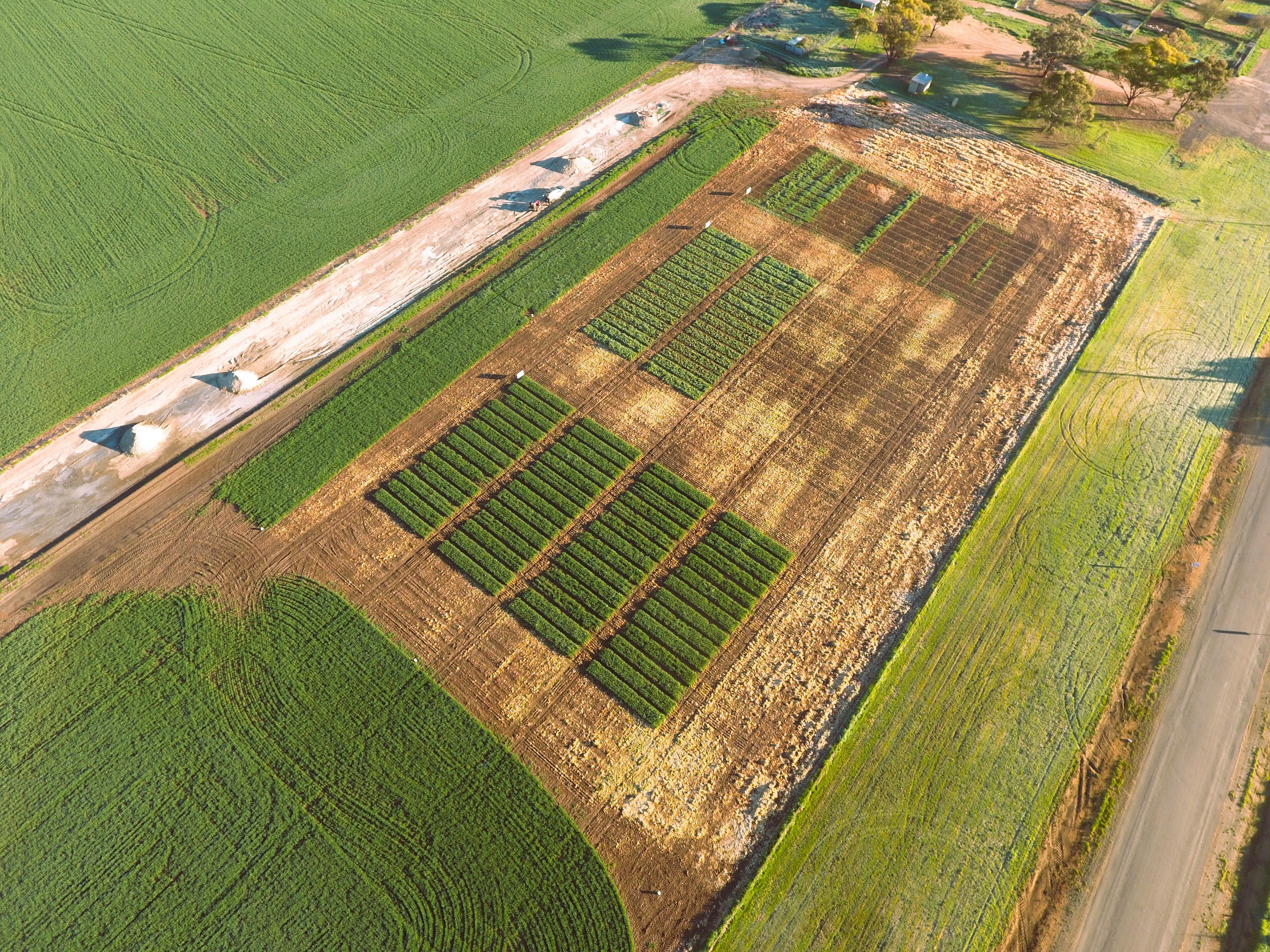 Aerial shot of the neighbouring Innovation Site at Nhill Community Paddock