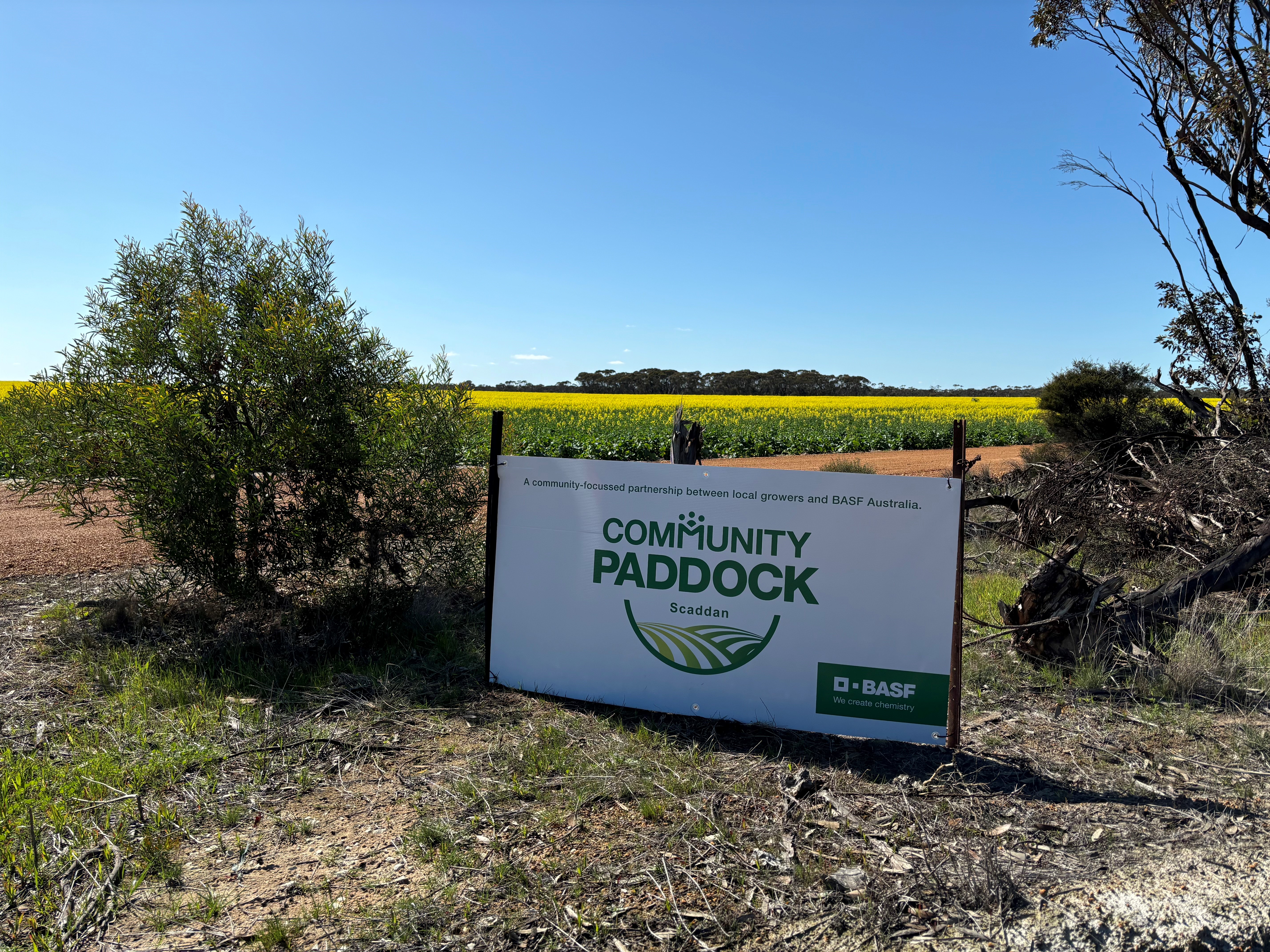 Canola field with sign on fence saying community paddock