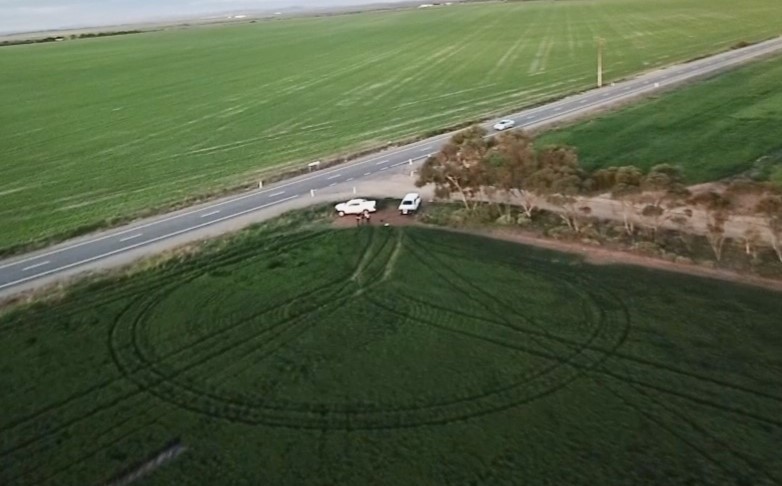 a green paddock with two white cars in it