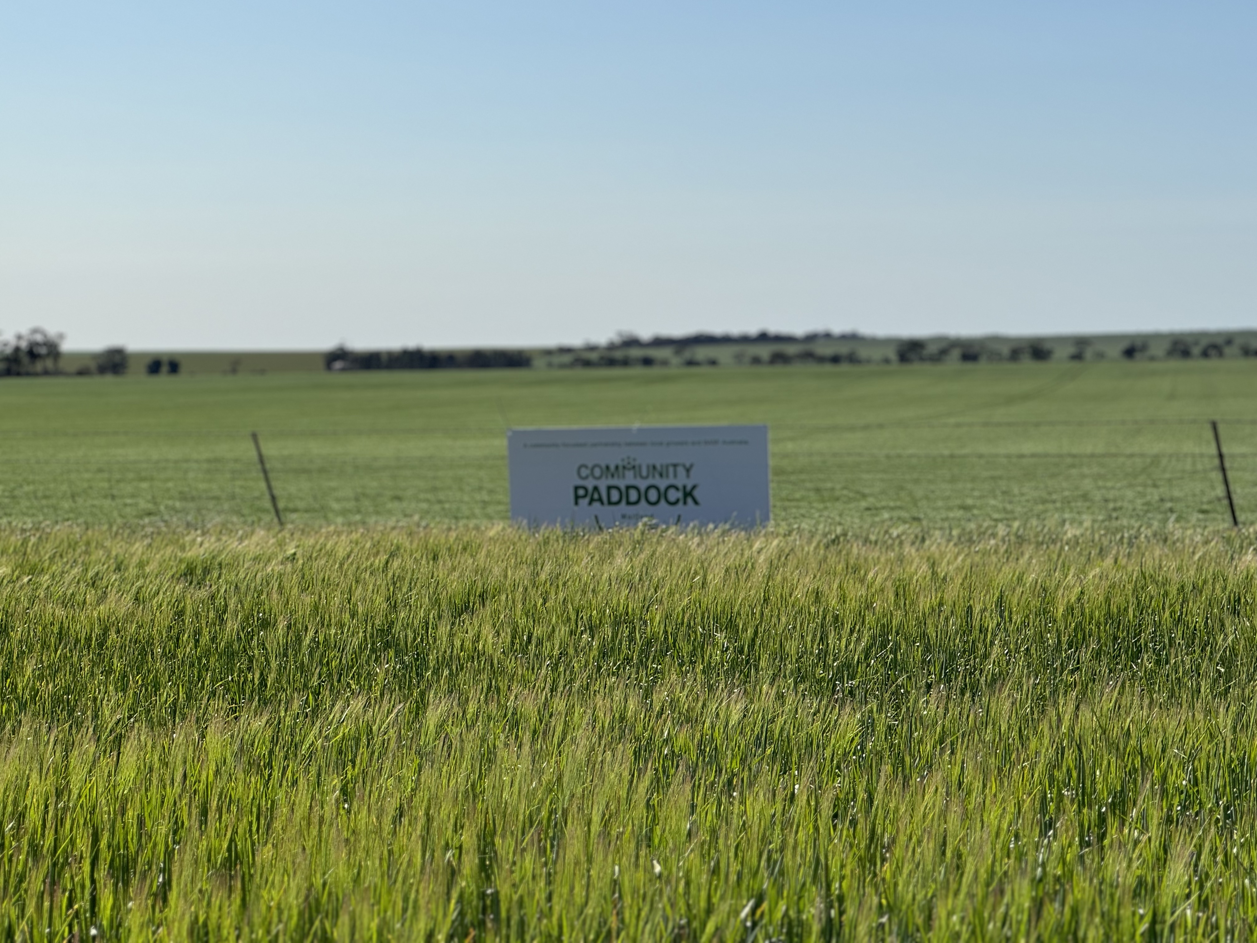 maitland barley community paddock with sign