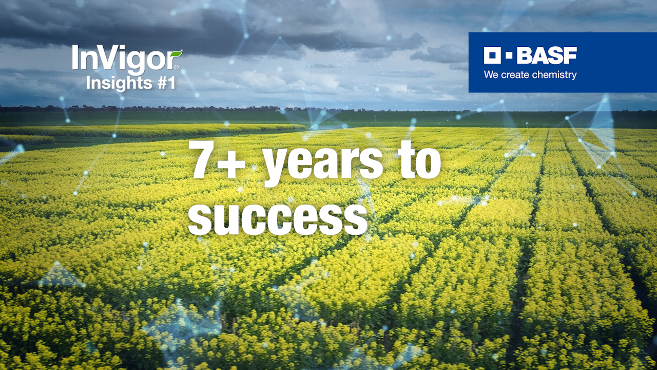 Text saying 7+ years to success with canola fields in the background