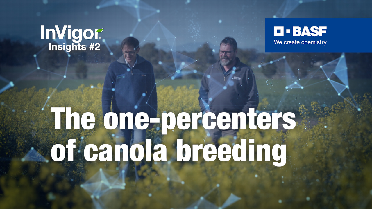 Text saying the one-percenters of canola breeding, with two men walking through a canola field in the background