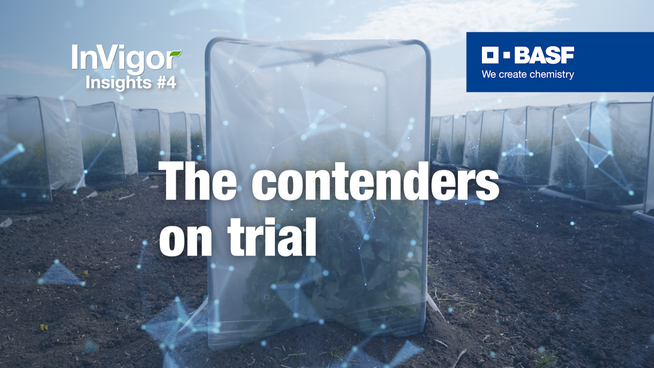 Text saying the contenders on trial