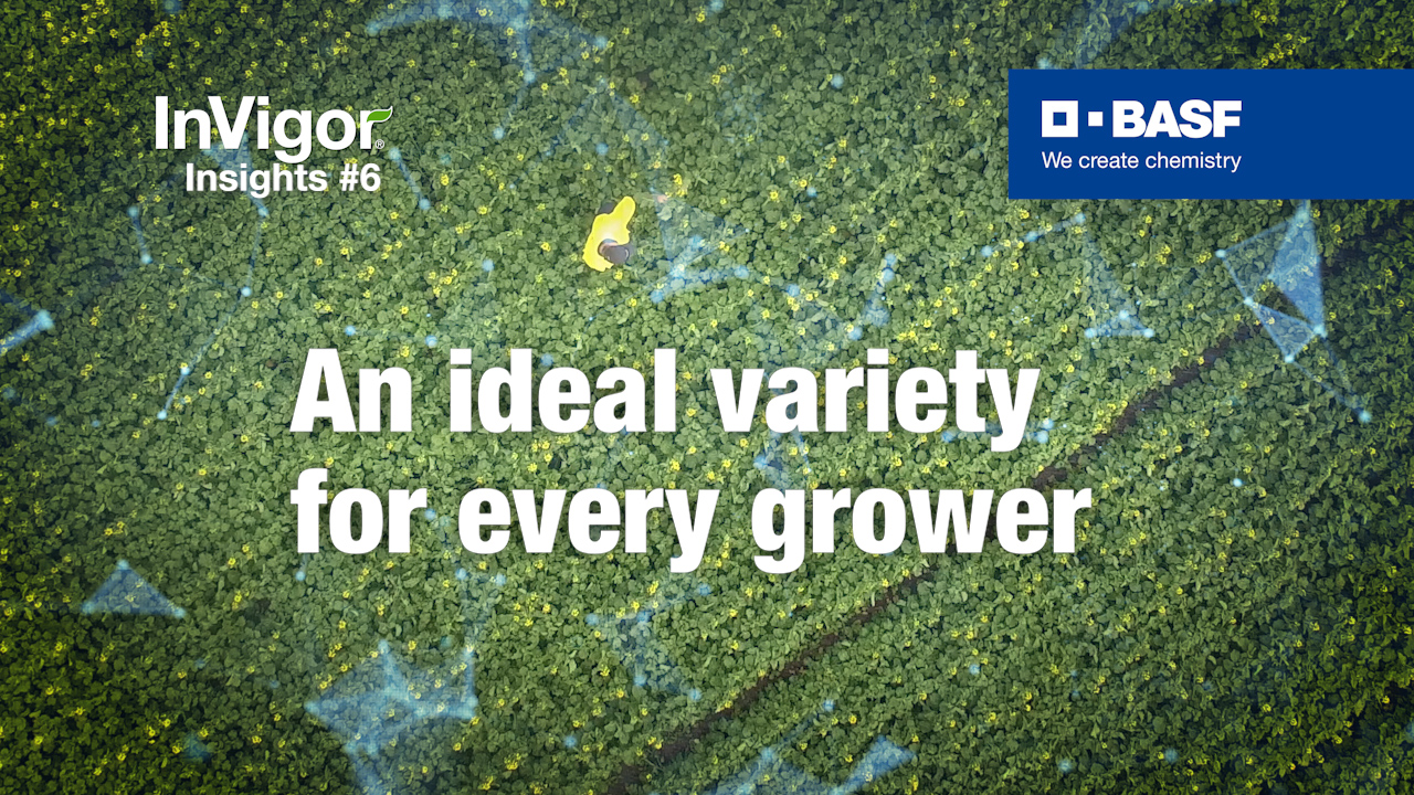 Text saying an ideal variety for every grower in front of a crop field background