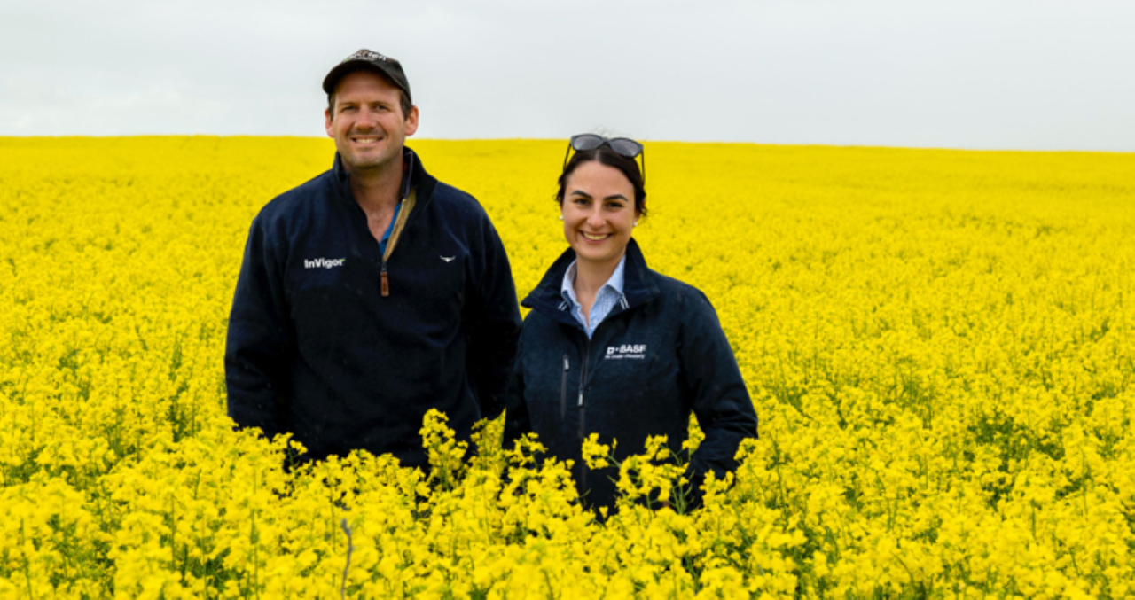 A man and a woman standing in a canola field