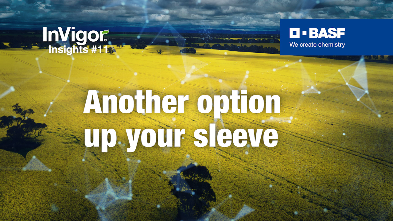 Text saying Another option up your sleeve in front of a canola field