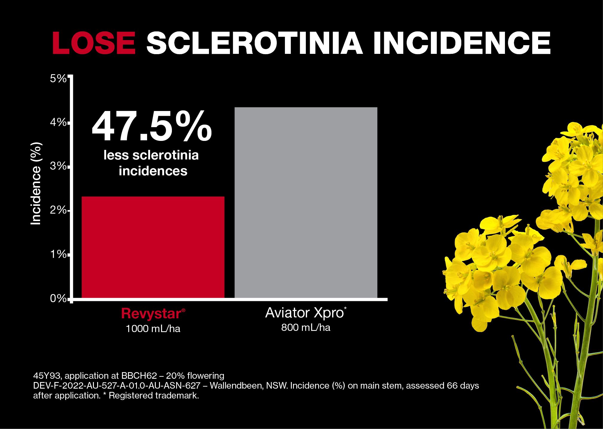 Lose Sclerotinia Incidence