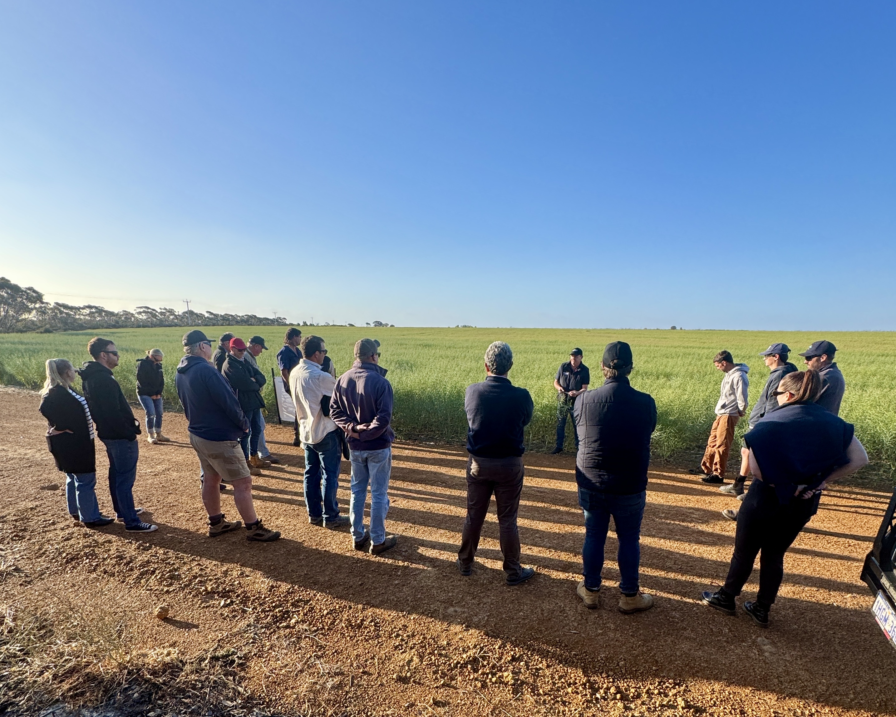 BASF InVigor Community Paddock Scaddan WA Grower field walk