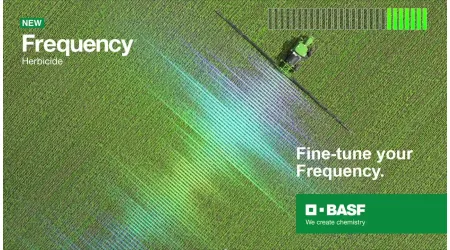 Frequency Herbicide by BASF