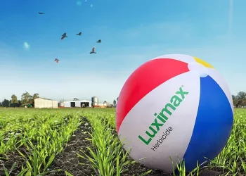 A beachball labelled Luximax Herbicide strategically placed in a field of crops 