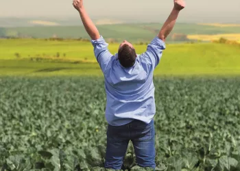 Versys insecticide man standing in a field making a V with his arms