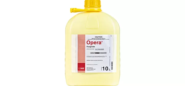 Opera® Fungicide By BASF - Australia Packshot