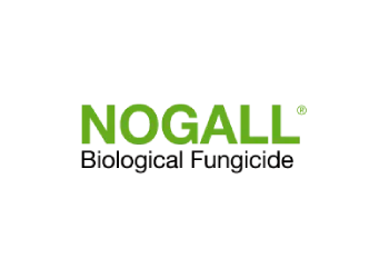 Nogall