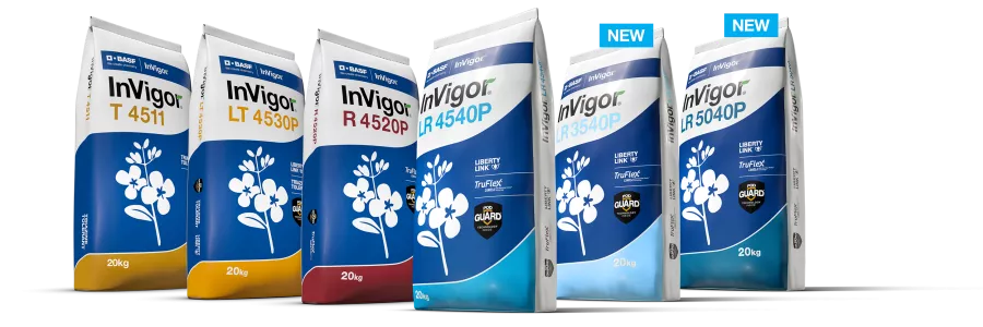 InVigor varieties packshots