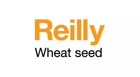 Reilly Wheat