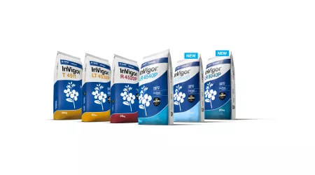 InVigor varieties packshots